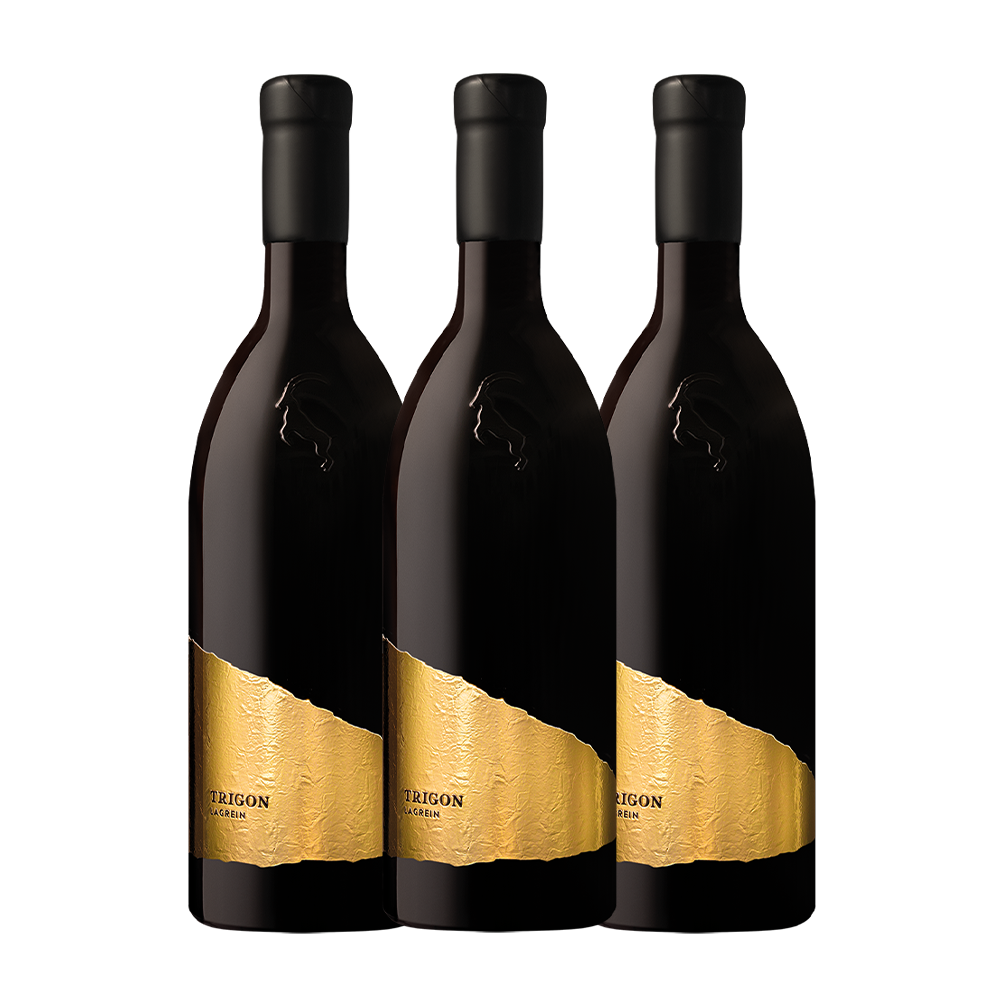 Lagrein Riserva Trigon 2022, Weingut Rottensteiner Bozen