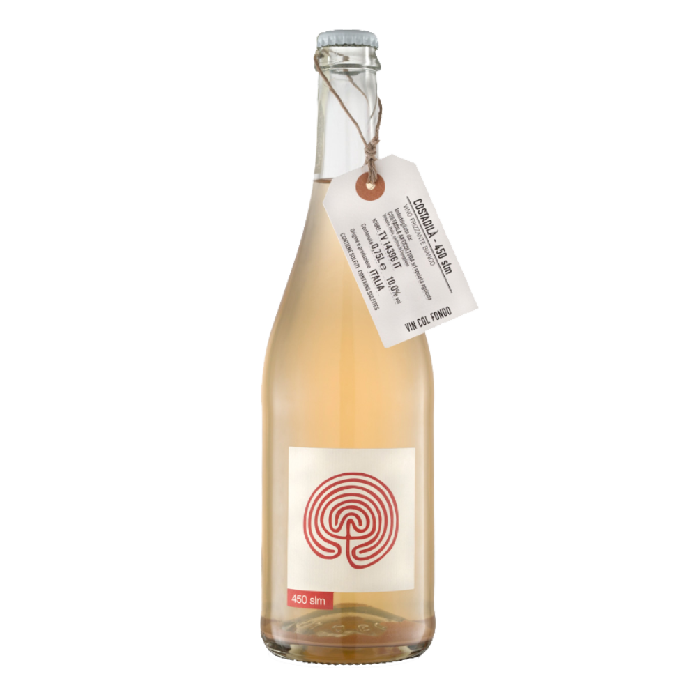 Weinvogel.ch_450_slm_bianco_frizzante_Costadila_Venetien_Weisswein