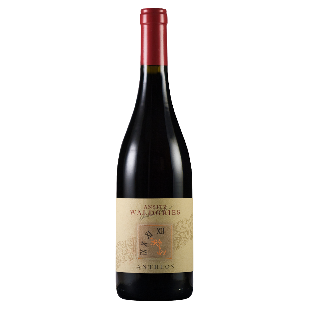 Weinvogel.ch_Antheos_St_Magdalener_Classico_Waldgries_Suedtirol_Rotwein