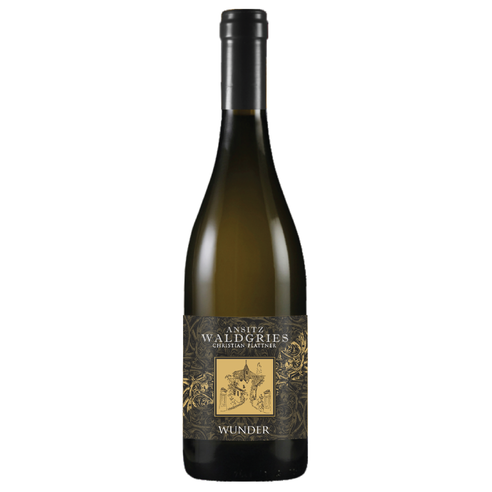 Weinvogel.ch_Blanc_de_Noir_Blanc_N_Weinberg_Dolomiten_Waldgries_Suedtirol_Weisswein