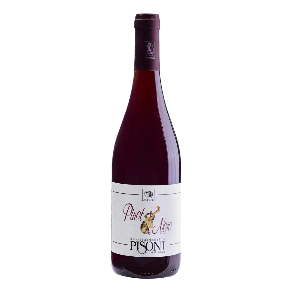 Weinvogel.ch_Blauburgunder_Weinberg_Dolomiten_Pisoni_Suedtirol_Rotwein
