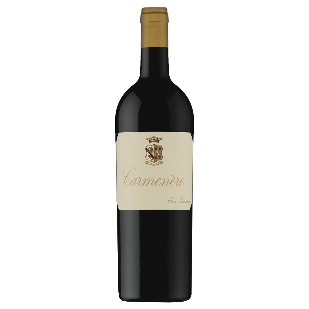 Weinvogel.ch_Carmenere_Weinberg_Dolomiten_Tenuta_San_Leonardo_Trentino_Rotwein