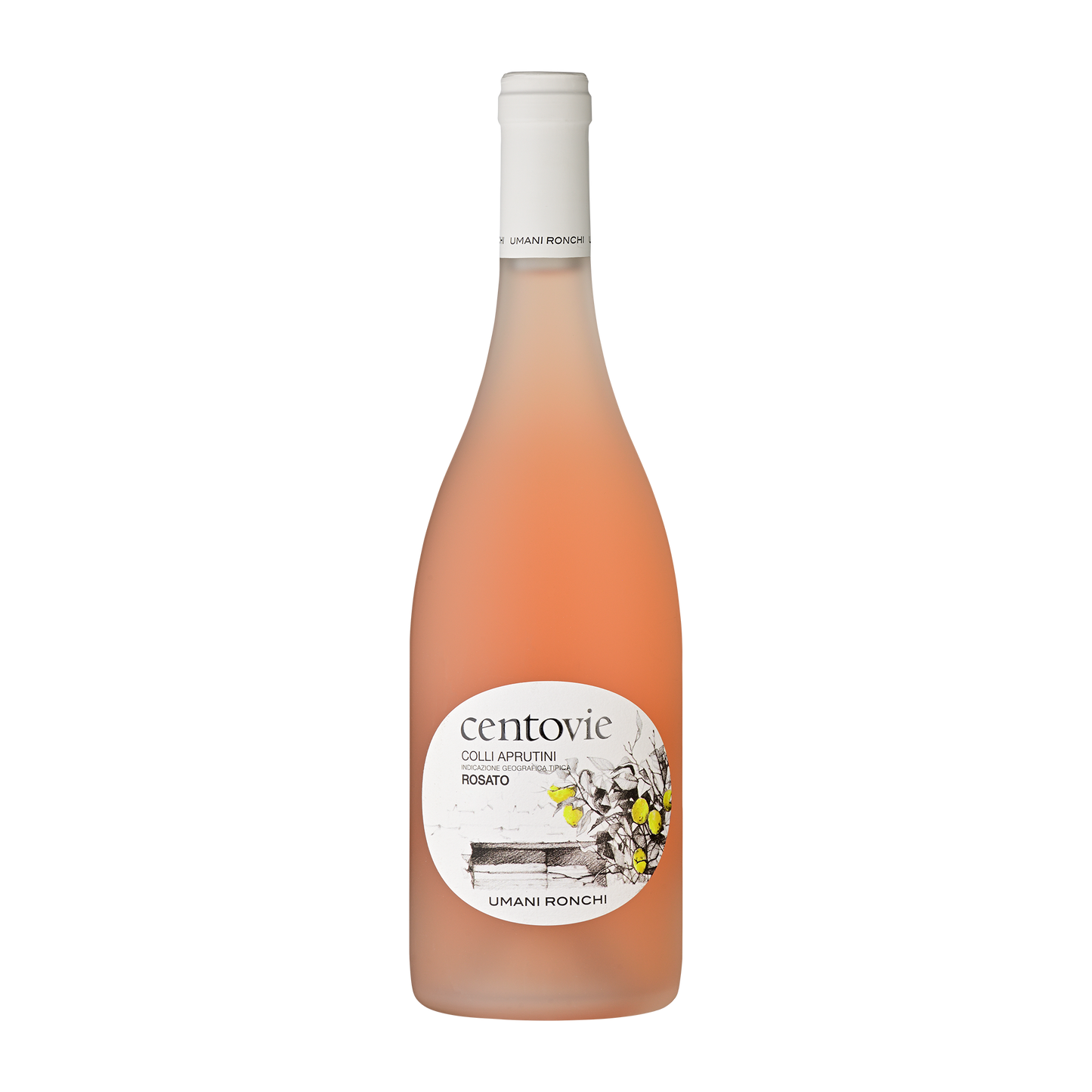 Weinvogel.ch_Centovie_rosato_Colli_Aprutini_Umani_Ronchi_Abruzzen_Rosewein