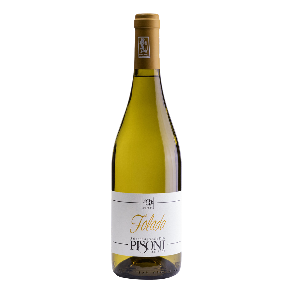 Weinvogel.ch_Folada_Nosiola_Weinberg_Dolomiten_Pisoni_Suedtirol_Weisswein