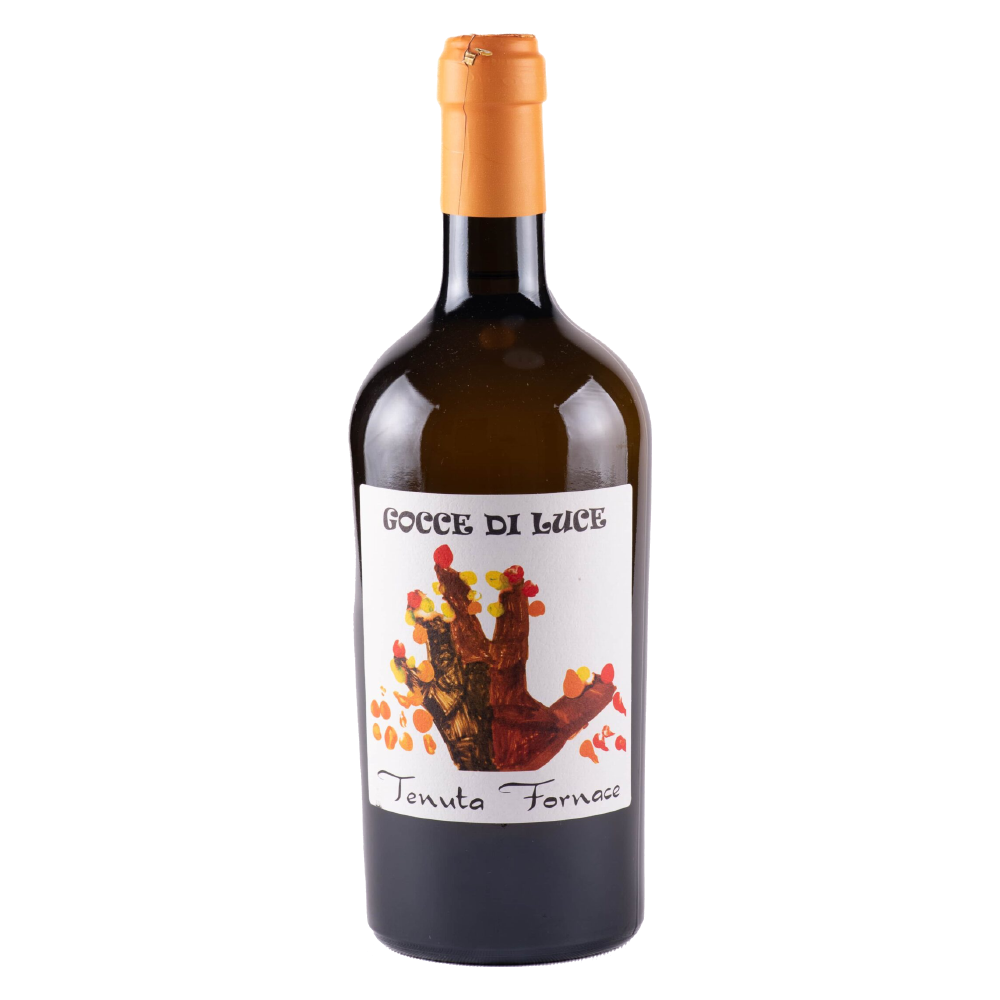 Weinvogel.ch_Gocce_di_Luce_Tenuta_Fornace_Lomberdien_Weisswein