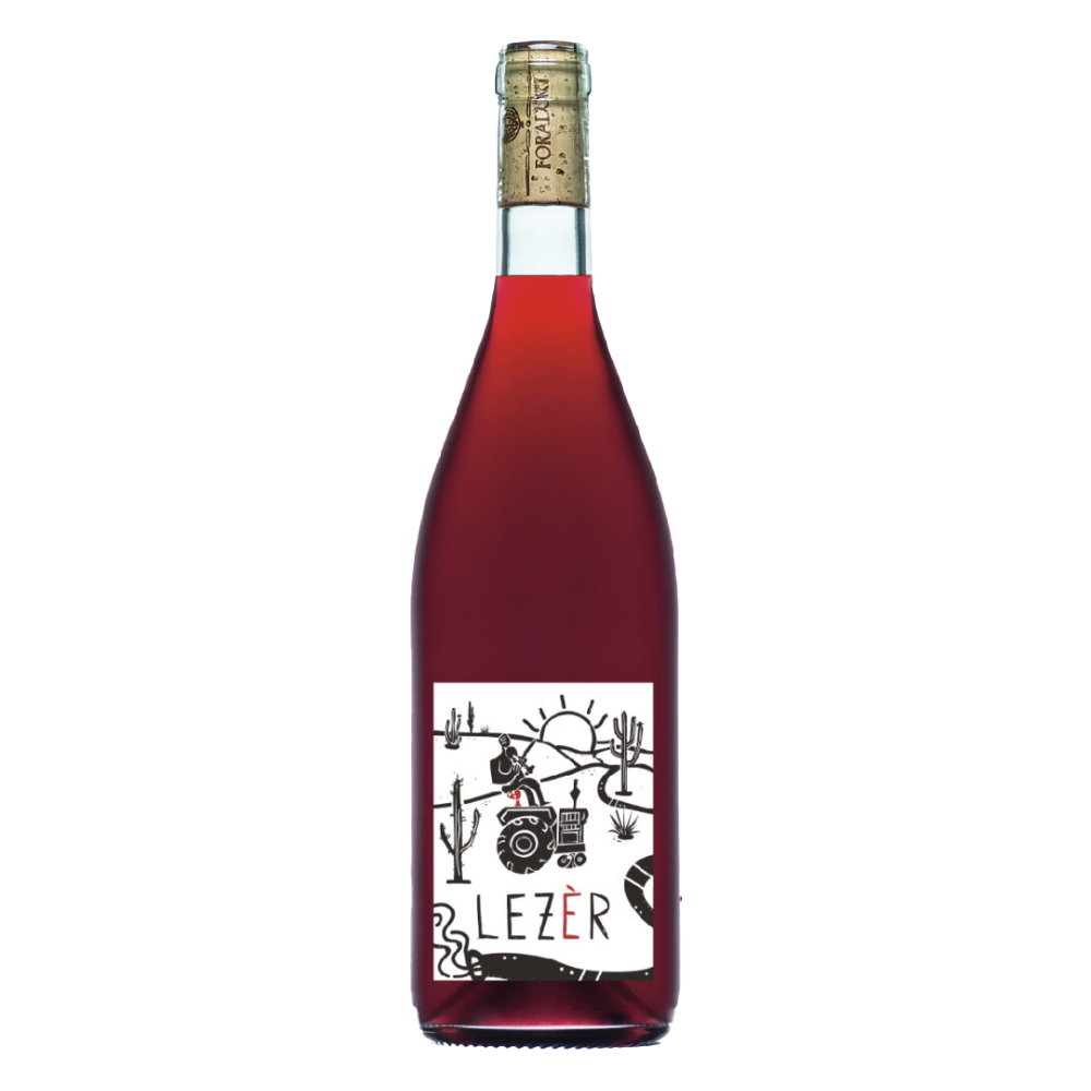 Weinvogel.ch_Lezer_rot_Weinberg_Dolomiten_Elisabetta_Foradori_Trentino_Rotwein