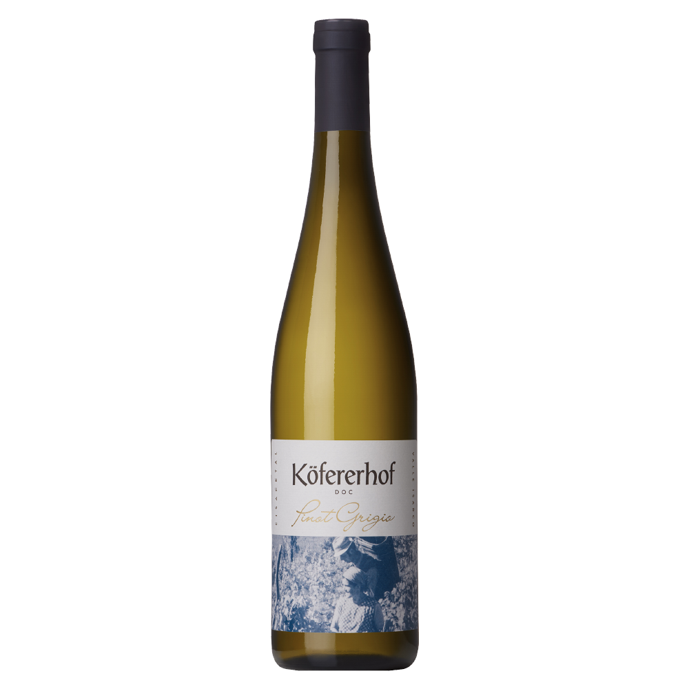 Weinvogel.ch_Pinot_Grigio_Eisacktal_Koefererhof_Suedtirol_Weisswein