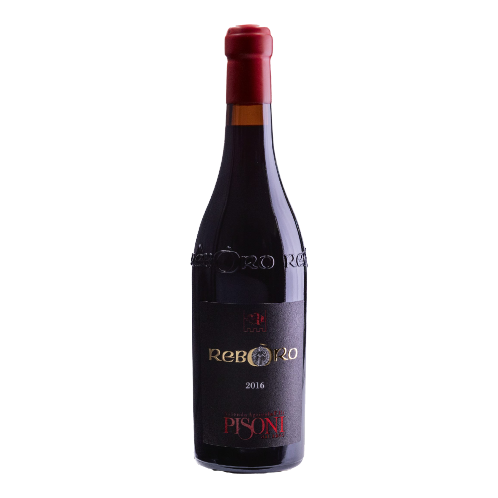 Weinvogel.ch_Reboro_Weinberg_Dolomiten_Pisoni_Suedtirol_Rotwein