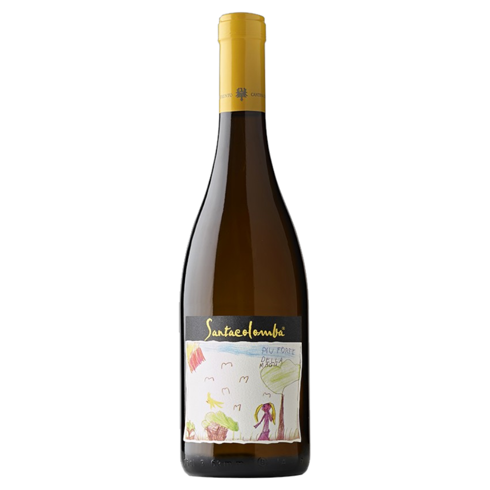 Weinvogel.ch_Santacolomba_weiss_Weinberg_Dolomiten_Cantina_Sociale_di_Trento_Trentino_Weisswein