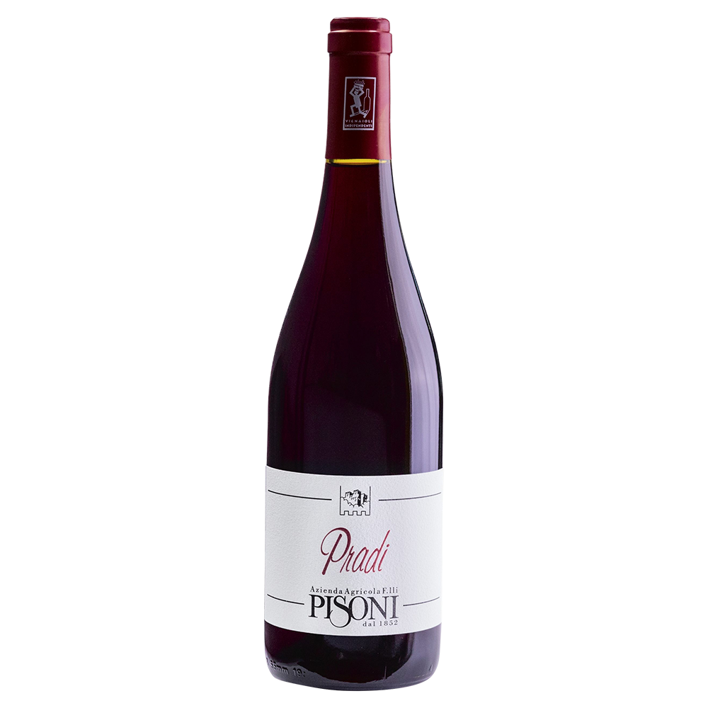 Weinvogel.ch_Pradi_Teroldego_Weinberg_Dolomiten_Pisoni_Suedtirol_Rotwein