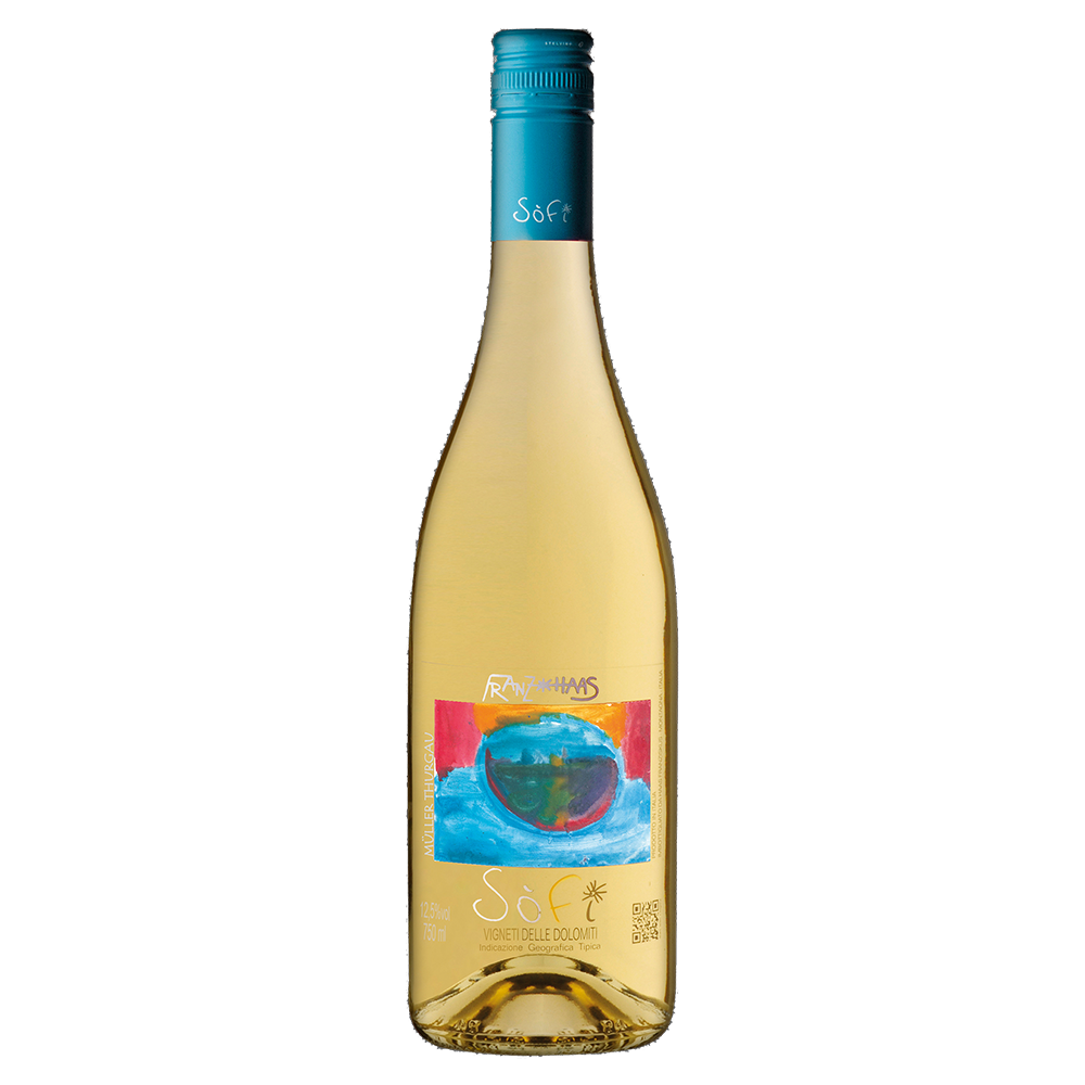 Weinvogel.ch_Sofi_Mueller_Thurgau_Weinberg_Dolomiten_Franz_Haas_Suedtirol_Weisswein