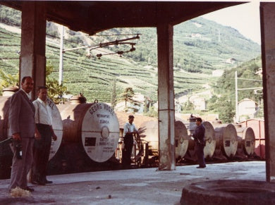 Die Weinproduktion in Tirol von 1960 bis 1970