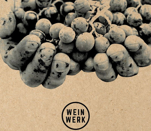 WEIN.WERK: Eine neue Winzergeneration startet durch (Teil 1)