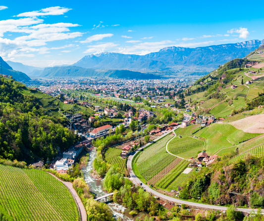 Die Weinbauzone Bozen: Eine Oase für Weinliebhaber