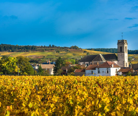 Weissburgunder: Ein Hauch von Burgund im Südtirol