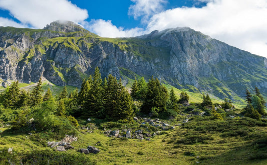 Das Trentino: Ein faszinierendes Tal der Etsch
