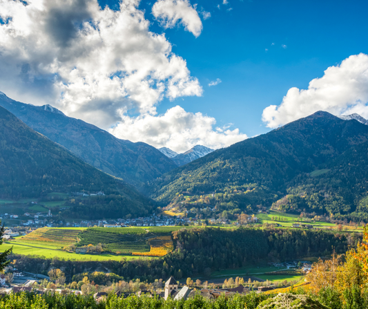 Entdecke die Weinparadiese des Eisacktals: Weißweine in alpiner Perfektion