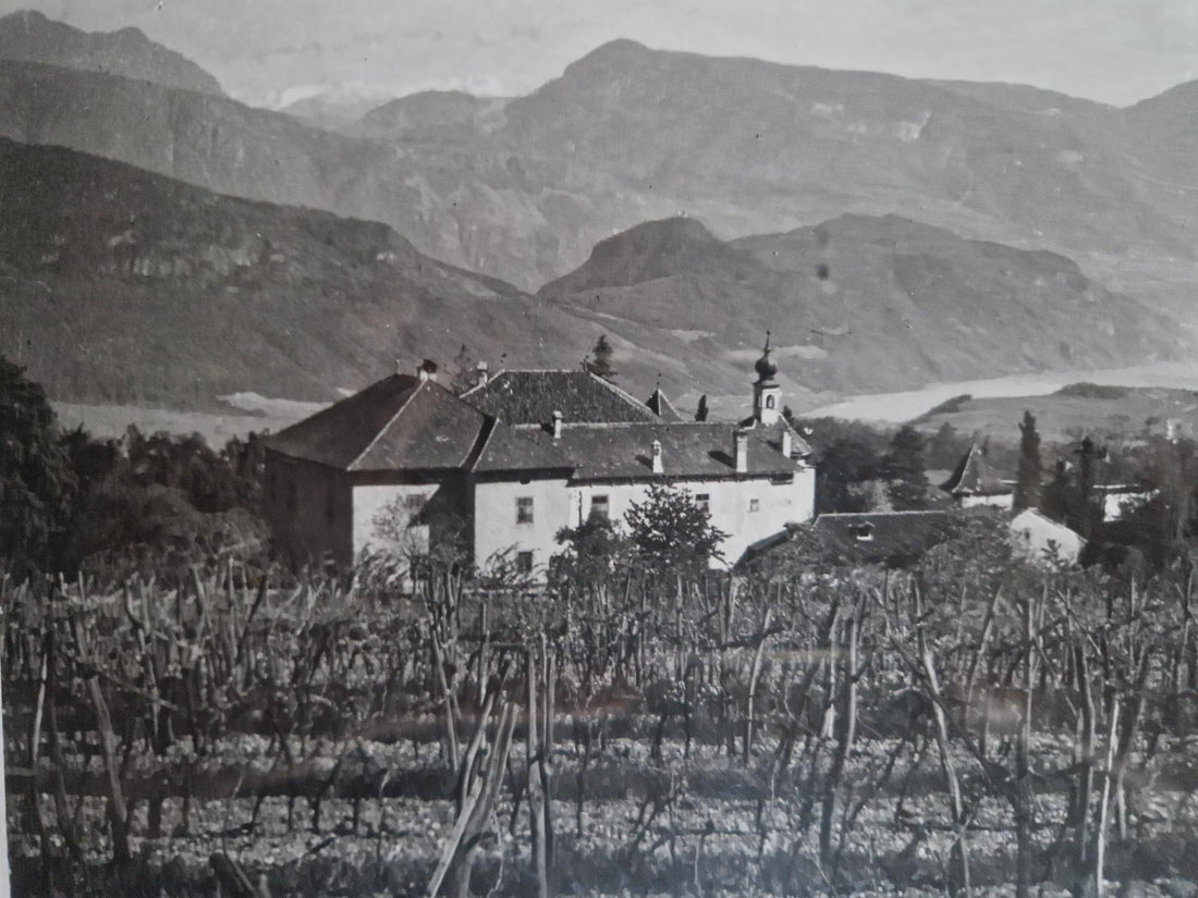 Die Weinproduktion in Tirol von 1980 bis 1990