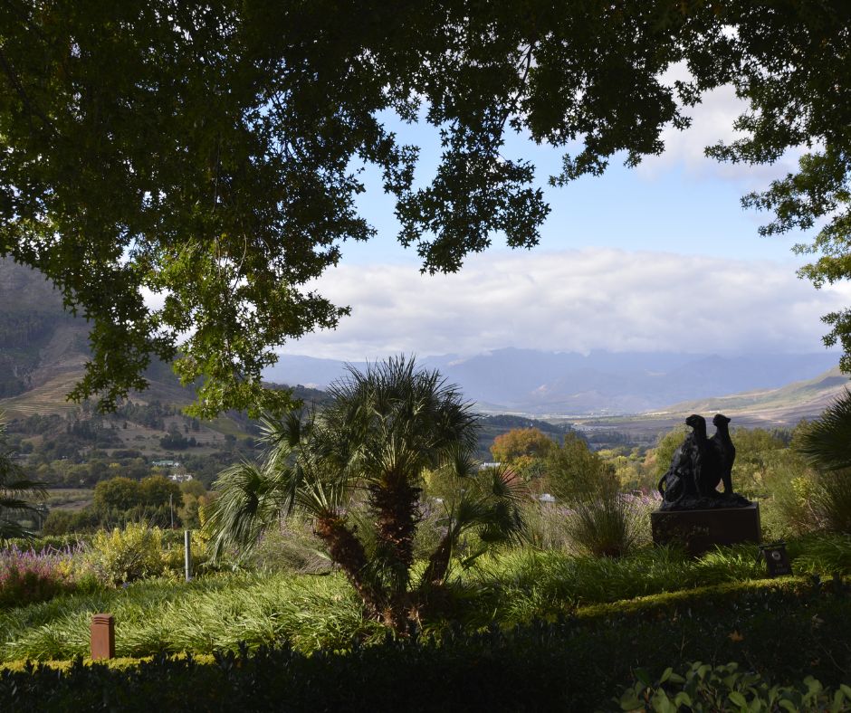 Chardonnay: Eine Weißwein-Perle aus dem Südtirol