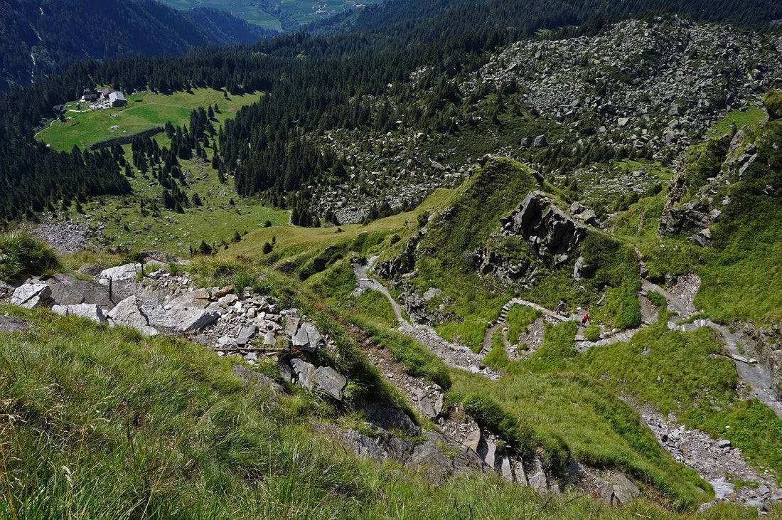 Südtirol: Wo die Alpen auf das Mittelmeer treffen