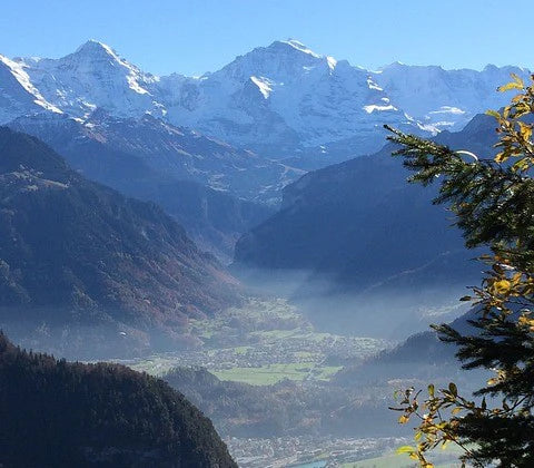 Das Sonnenparadies Südtirols: Die Weinbauzone Unterland