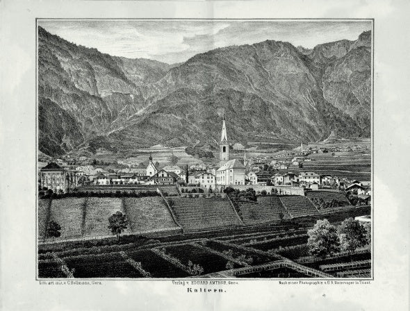 Die Weinbaugeschichte Südtirols: Tradition und Wandel