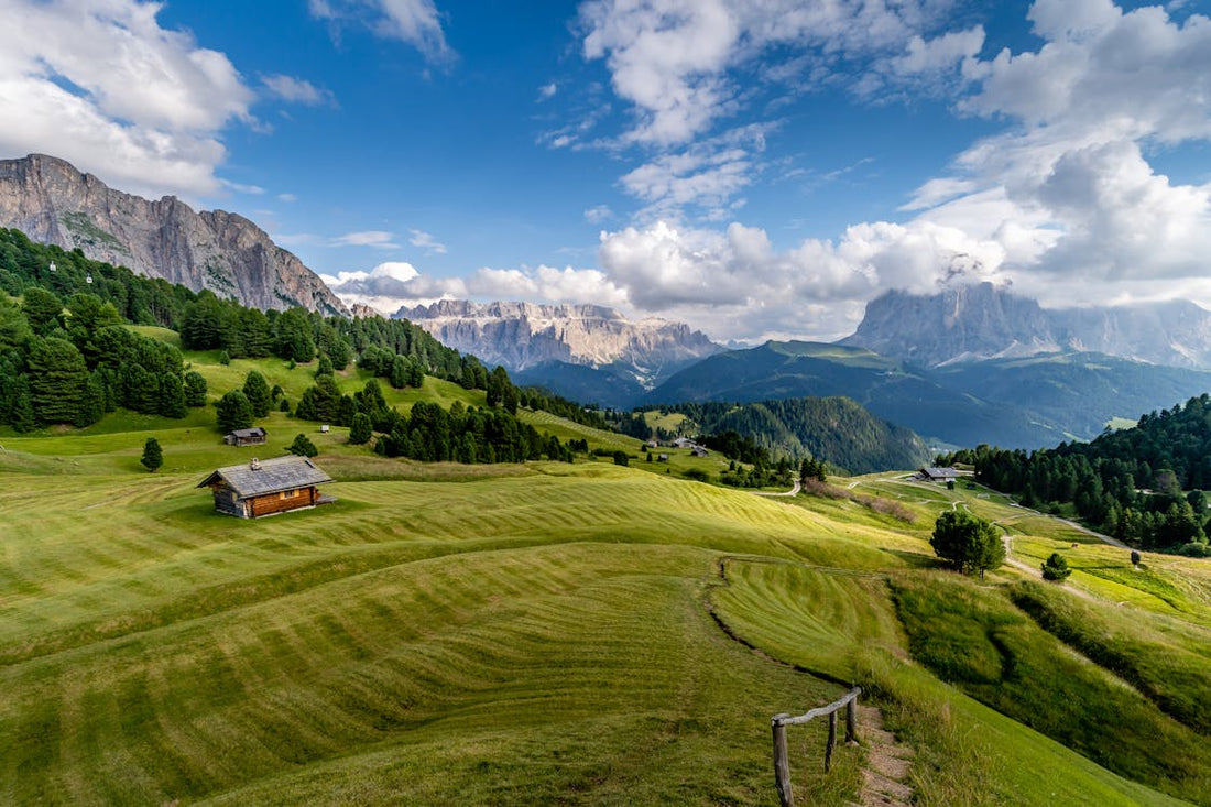 Teroldego: Das Trentiner Juwel