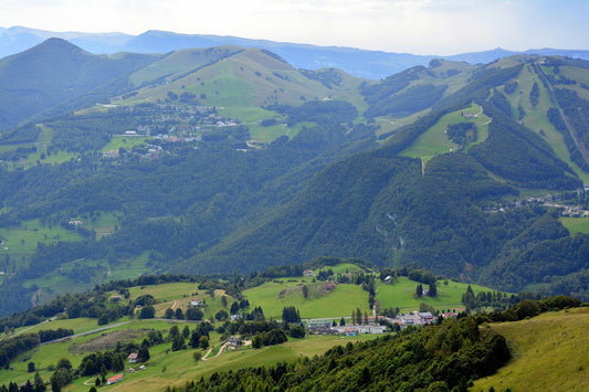 Weinproduktion im Trentino: Strukturen und Protagonisten