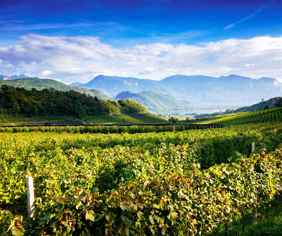 Kaltern und das Südtiroler Unterland: Eine Reise zwischen Wein, Natur und Kultur