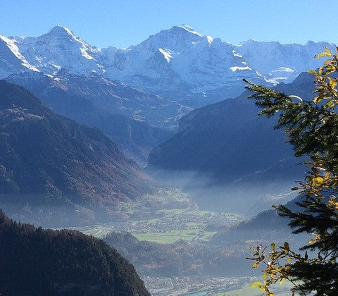 Das Sonnenparadies Südtirols: Die Weinbauzone Unterland