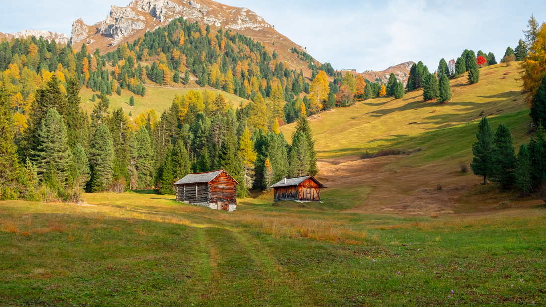 Die Weißweine Südtirols: Eine Reise durch Tradition und Vielfalt