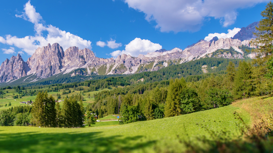 Entdecken Sie den Charme von Meran (Burggrafenamt) - Ein Paradies für Weinliebhaber