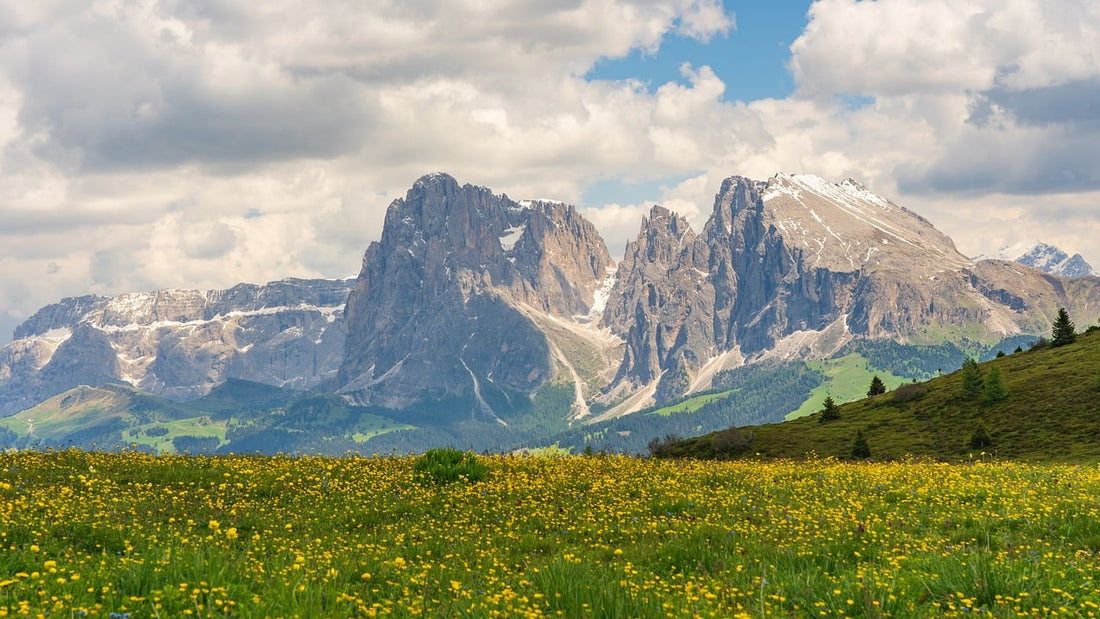 Vinophile Träume in den Dolomiten: Eggental, Tiers und Seis als Weinliebhaberparadies