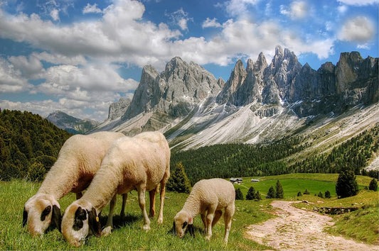 Die faszinierende Welt der Rotweine in Südtirol