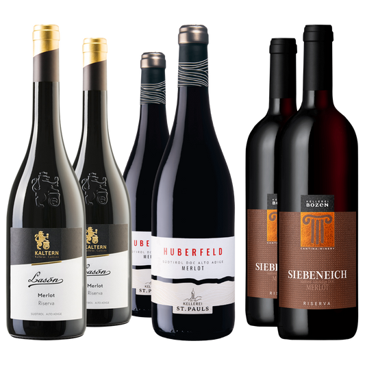 Die Wiedergeburt des Merlot: Eine Reise durch die Weinberge Südtirols