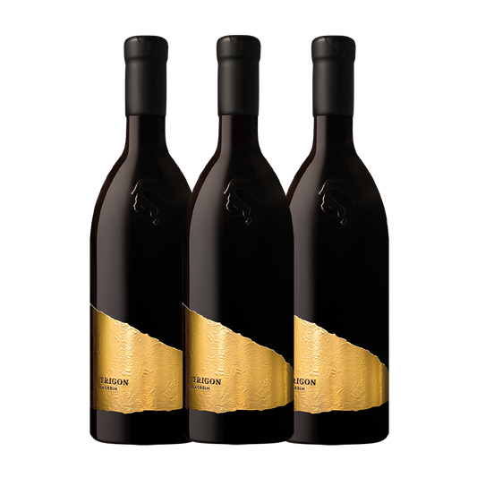  Lagrein Riserva Trigon 2022, Weingut Rottensteiner Bozen 