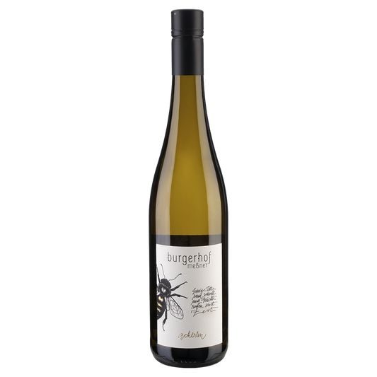 Weinvogel.ch_Ackerlen_Solaris_Weinberg_Dolomiten_Burgerhof_Suedtirol_Weisswein