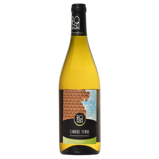 Weinvogel.ch_Anfora_Cinque_Terre_bianco_Possa_Ligurien_Weisswein