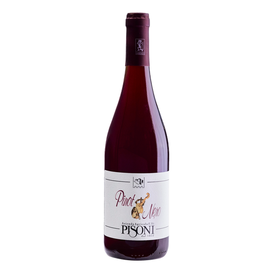 Weinvogel.ch_Blauburgunder_Weinberg_Dolomiten_Pisoni_Suedtirol_Rotwein