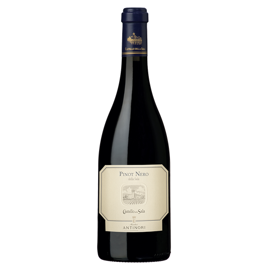 Weinvogel.ch_Blauburgunder_della_Sala_Umbria_Castello_della_Sala_Umbrien_Rotwein