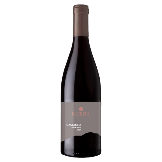 Weinvogel.ch_Castaneo_Blauburgunder_Weingut_Hochegg_Suedtirol_Rotwein