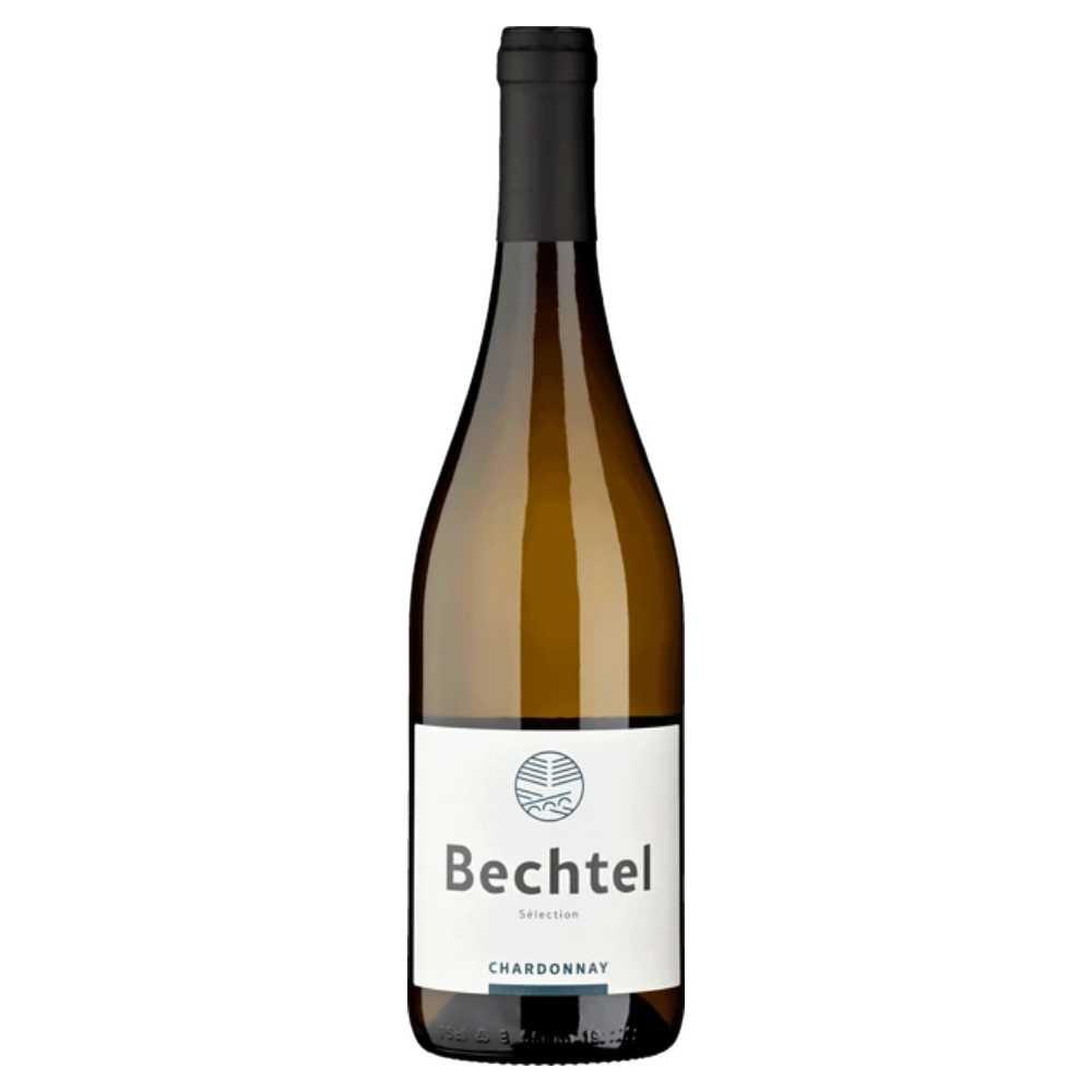 Weinvogel.ch_Chardonnay_Selection_Zurich_Bechtel_Zurich_Weisswein