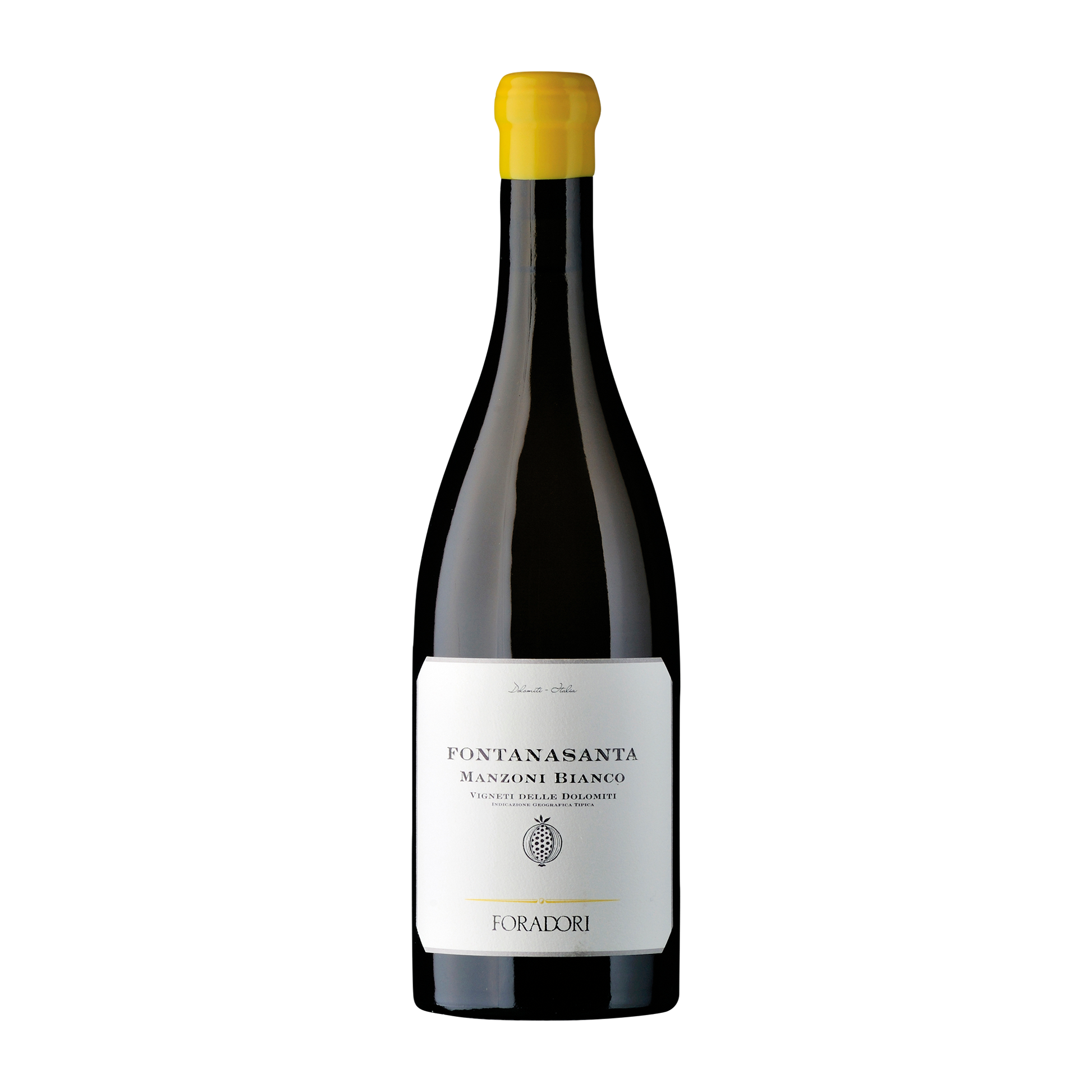 Weinvogel.ch_Fontanasanta_Manzoni_bianco_Weinberg_Dolomiten_Elisabetta_Foradori_Trentino_Weisswein