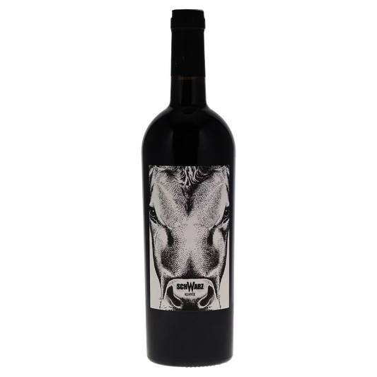 Weinvogel.ch_Kuhvee_Burgenland_Schwarz_Burgenland_Neusiedlersee_Rotwein