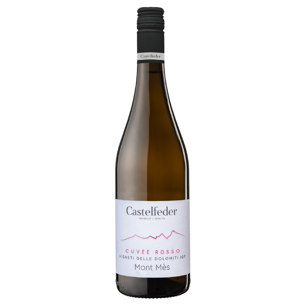 Weinvogel.ch_Mont_Mes_rot_Weinberg_Dolomiten_Castelfeder_Suedtirol_Rotwein
