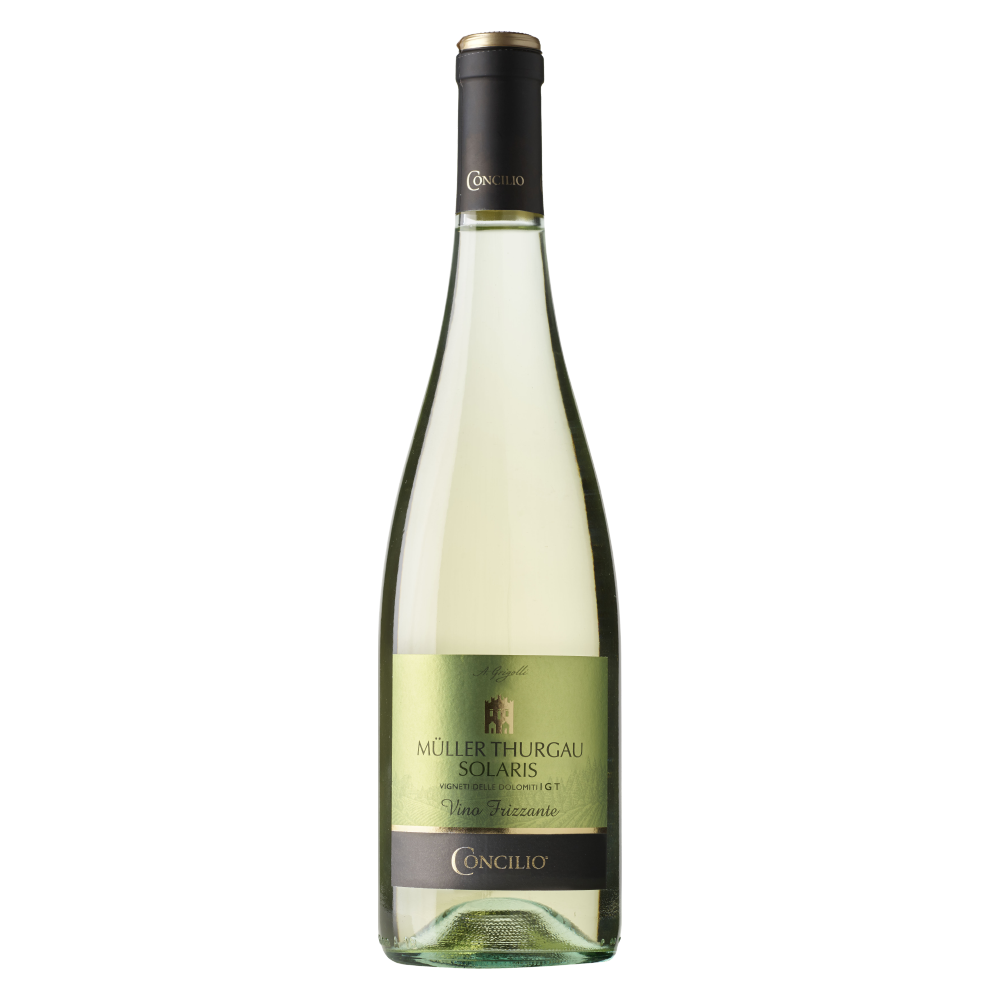 Weinvogel.ch_Mueller_Thurgau_frizzante_Weinberg_Dolomiten_Concilio_Trentino_Schaumwein