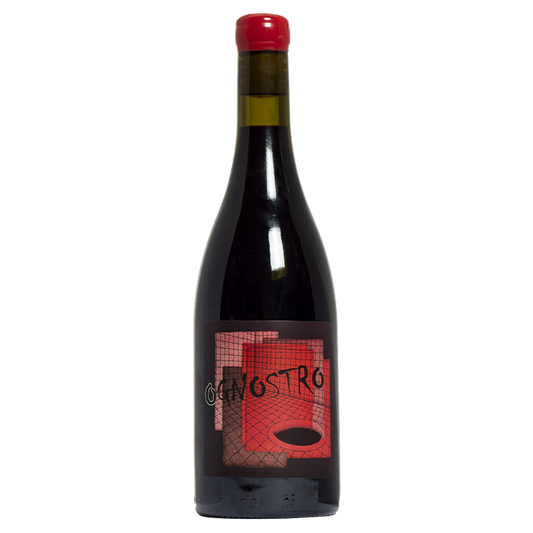 Weinvogel.ch_Ognostro_rosso_Azienda_Agricola_Tinessa_Kampanien_Rotwein