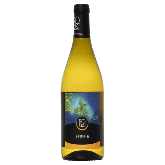 Weinvogel.ch_Parmaea_Possa_Ligurien_Weisswein