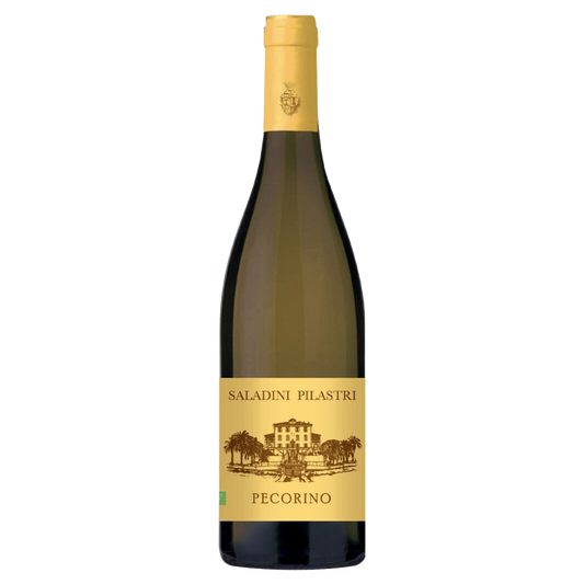 Weinvogel.ch_Pecorino_Offida_Saladini_Pilastri_Marken_Weisswein
