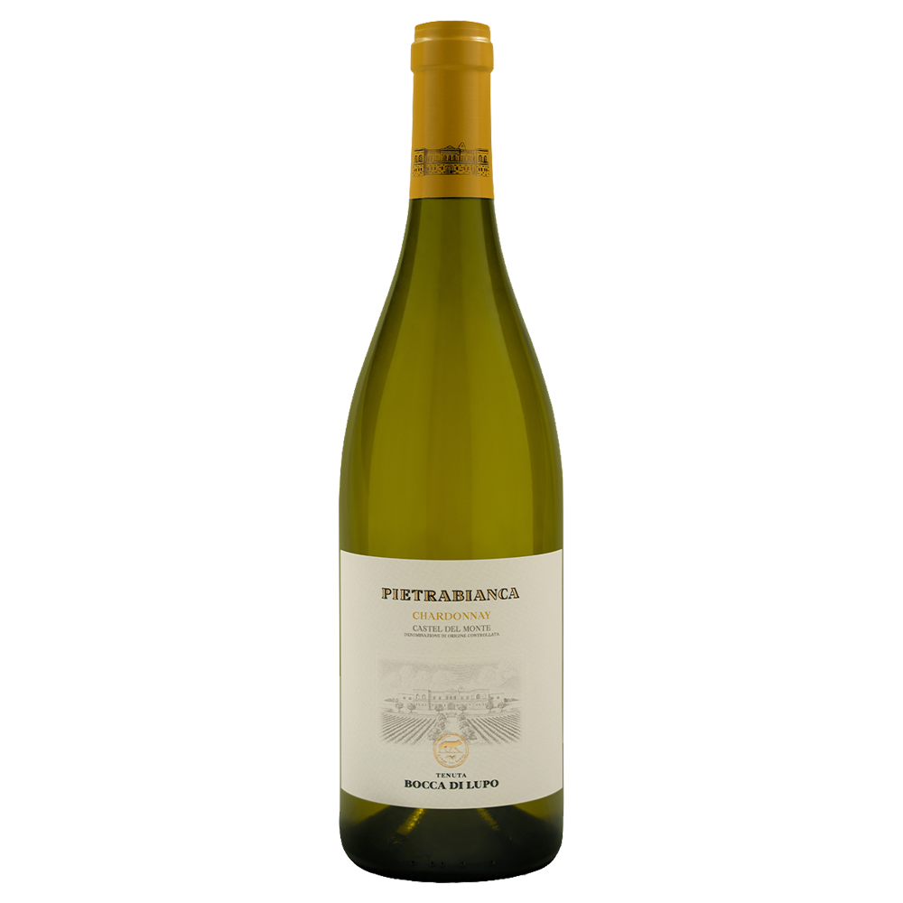 Weinvogel.ch_Pietrabianca_Castel_del_Monte_Tenuta_Bocca_di_Lupo_Apulien_Weisswein